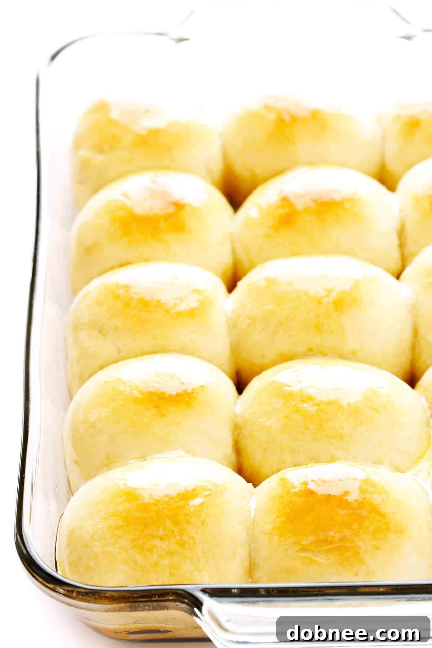 Golden brown, freshly baked 1-Hour Soft and Buttery Dinner Rolls in a rectangular baking dish, ready to be served.