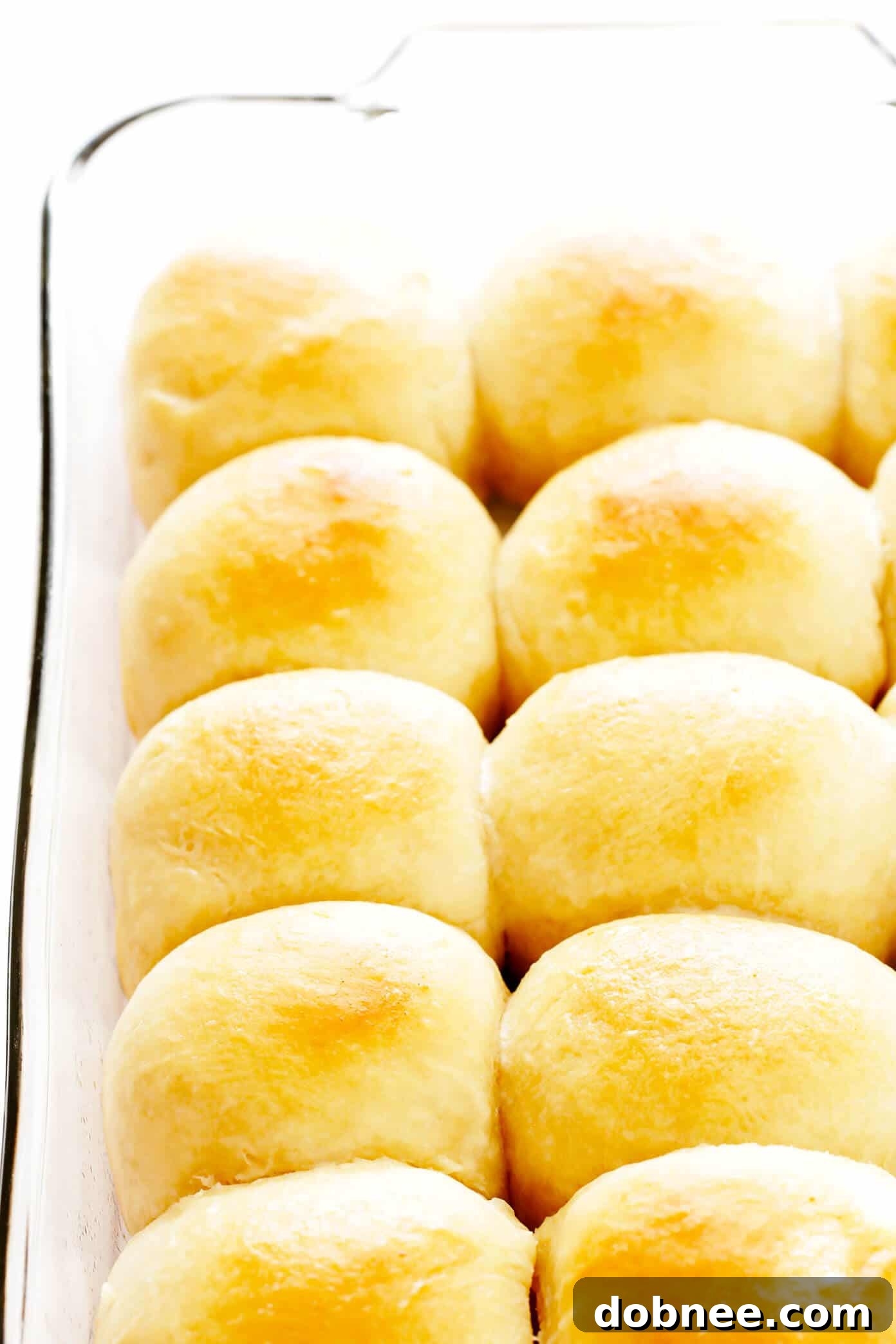 Freshly baked, golden brown 1-Hour Soft Dinner Rolls nestled together in a square baking pan.