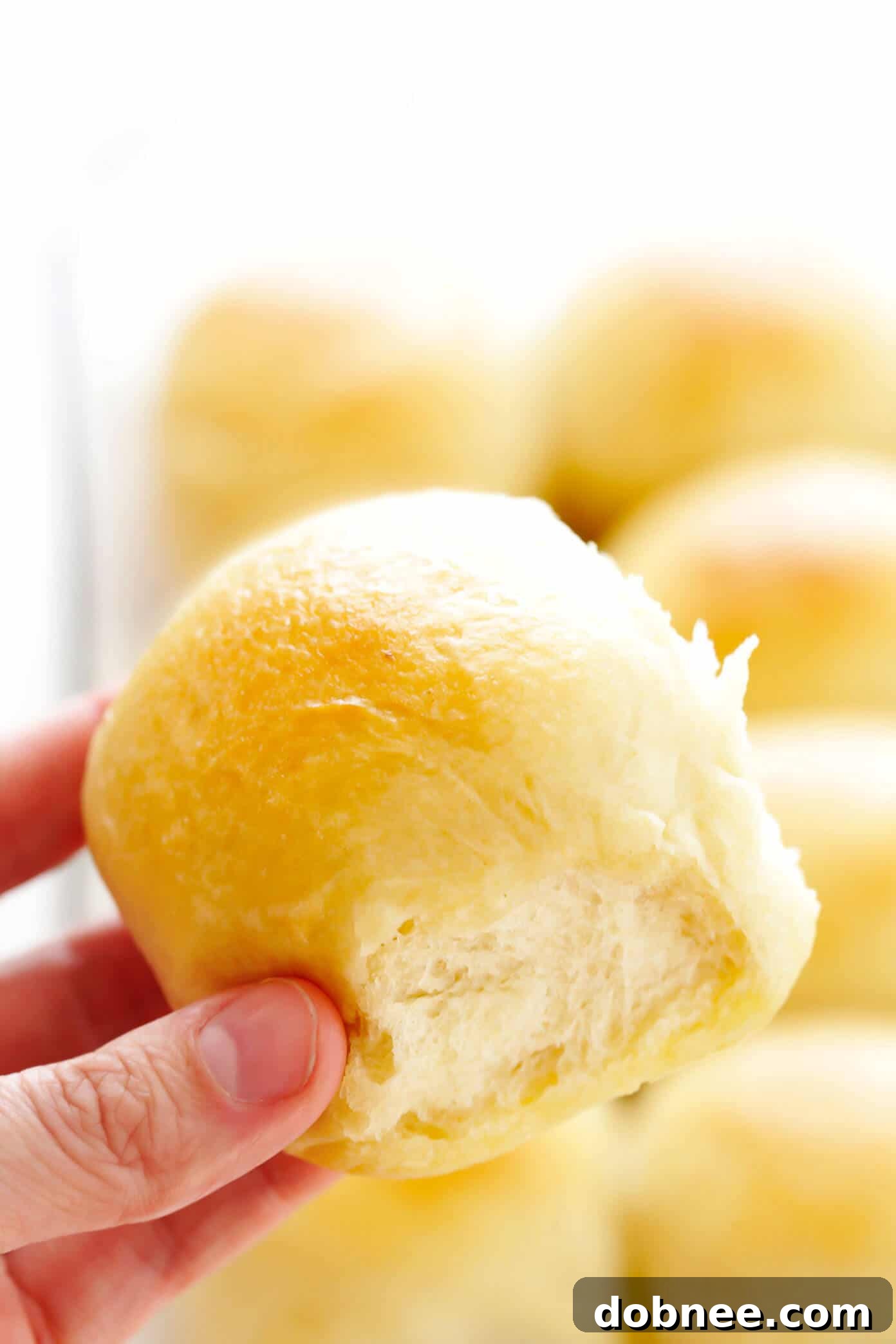 A close-up shot of a single, perfectly golden and fluffy 1-Hour Soft Dinner Roll, showing its tender interior.