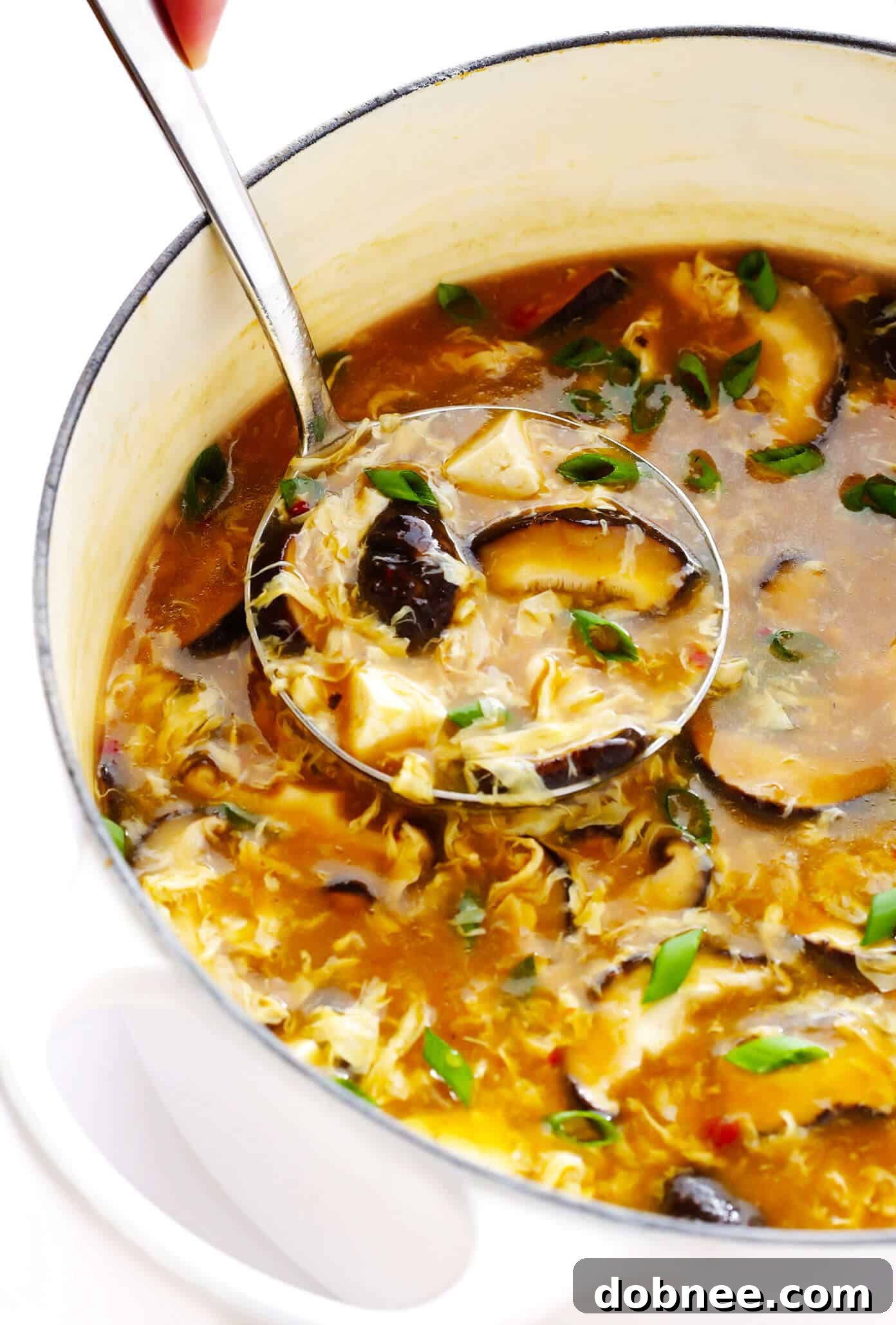 Best Homemade Hot and Sour Soup Recipe