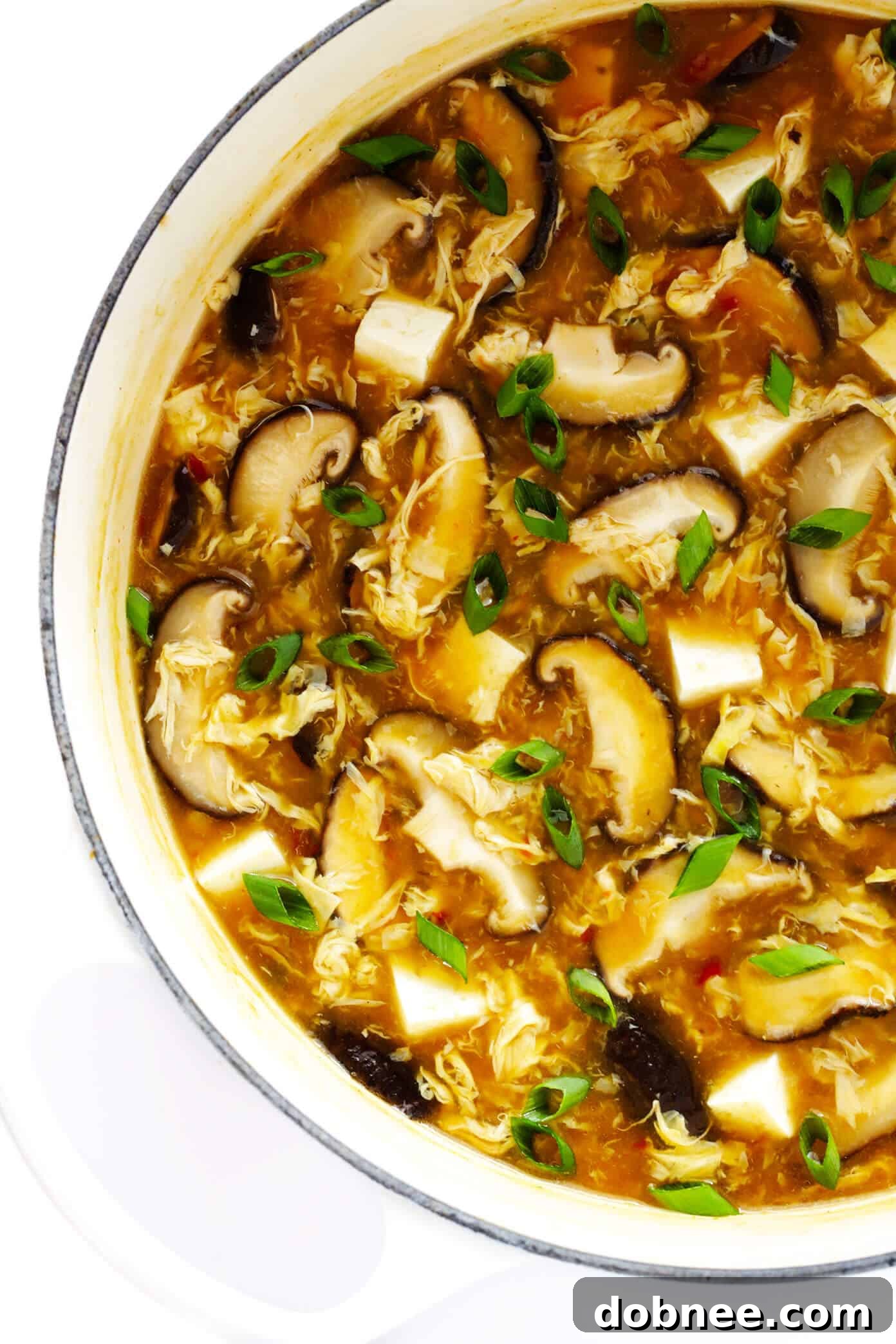 Chinese Hot and Sour Soup