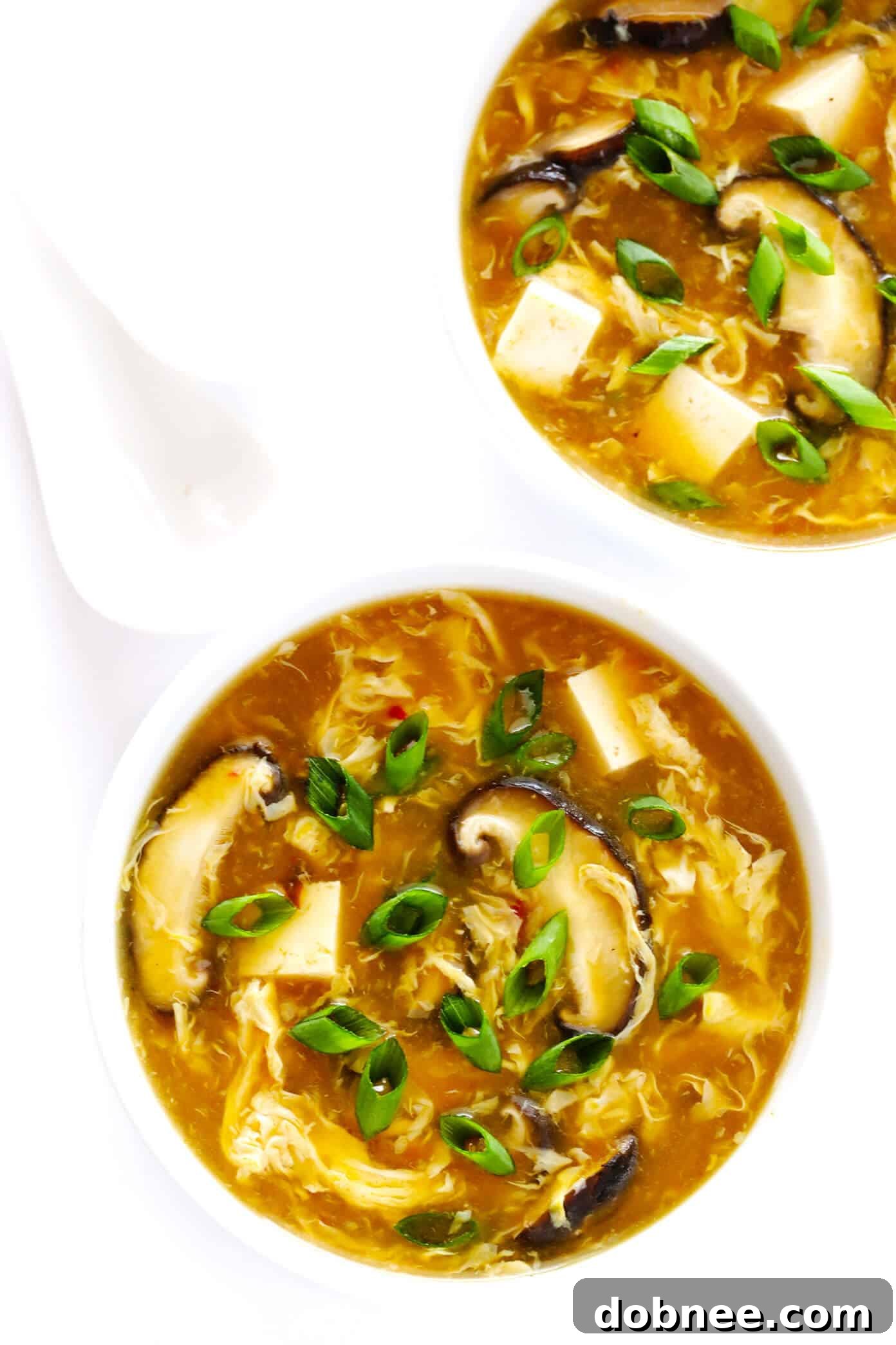How To Make Hot and Sour Soup
