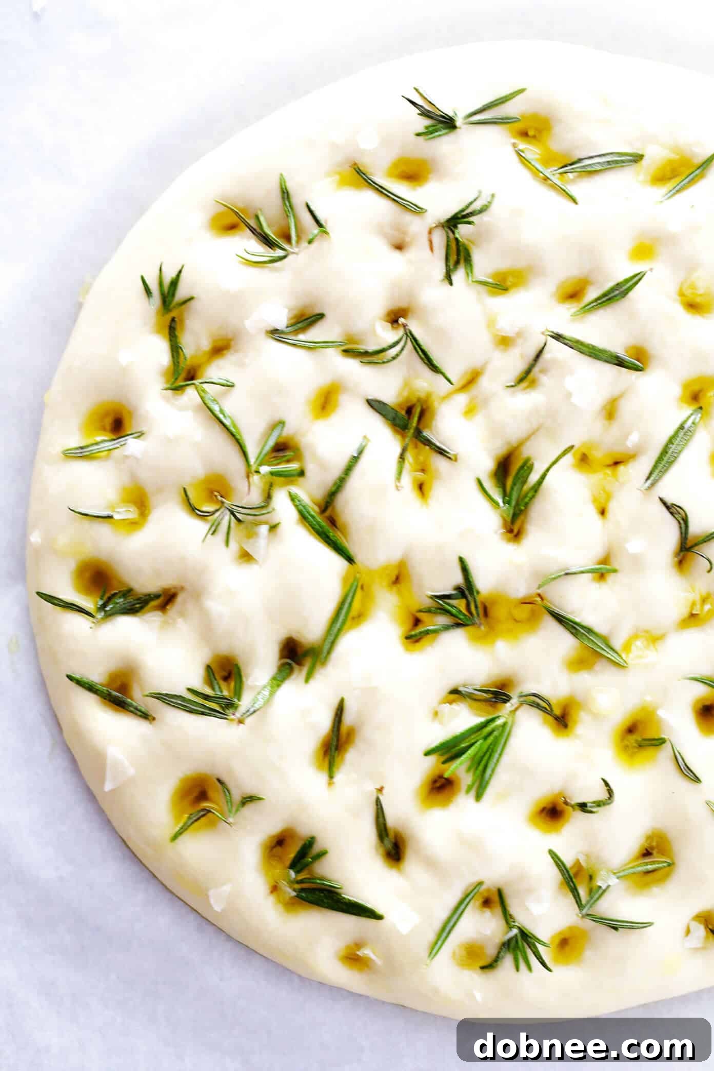Focaccia bread fresh out of the oven, topped with rosemary and sea salt