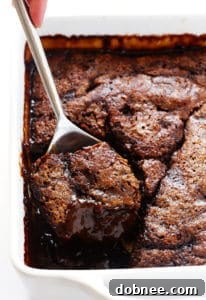 Chocolate Avocado Hot Fudge Cake