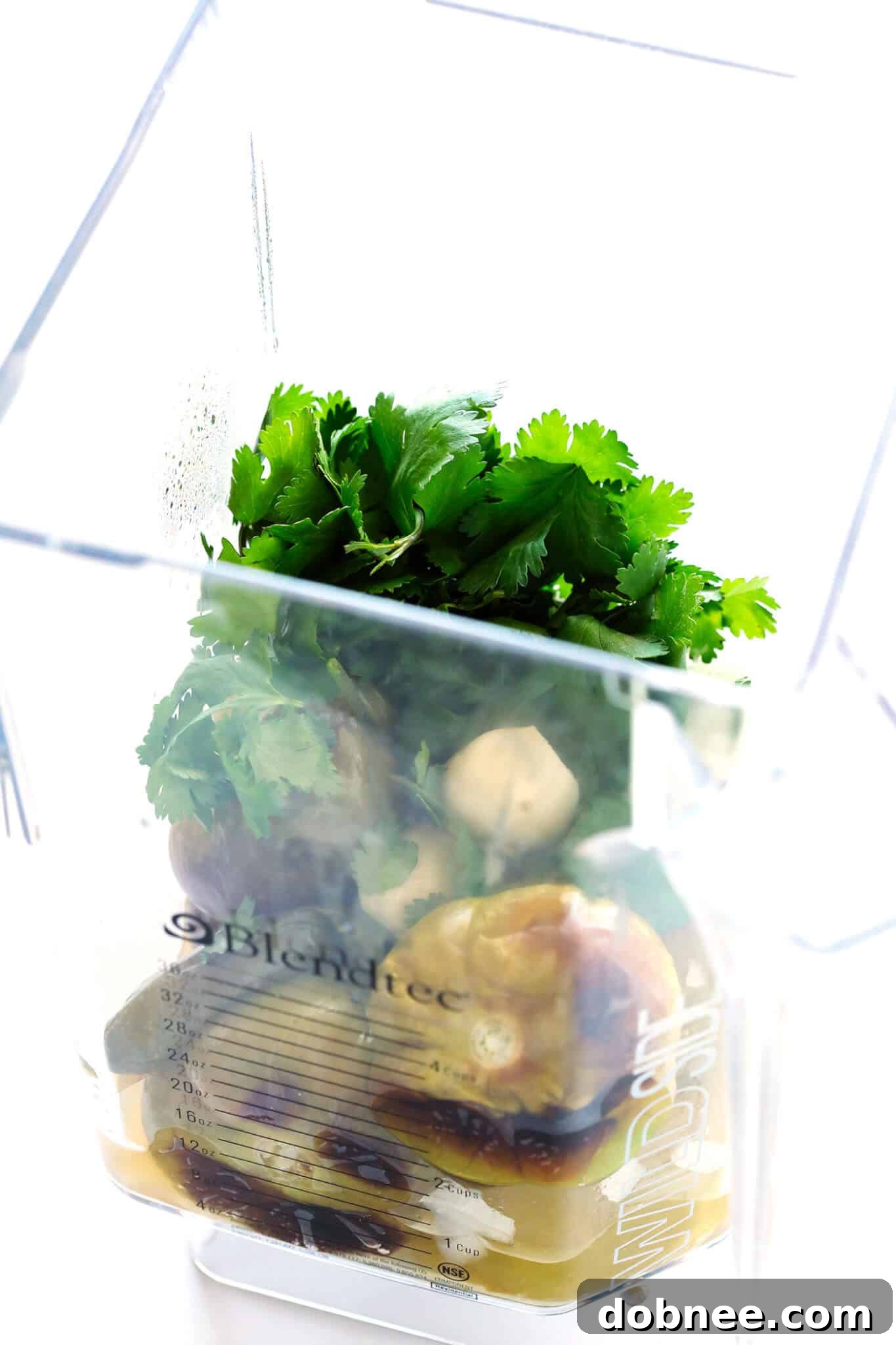 A beautifully textured homemade salsa verde in a rustic bowl, garnished with cilantro, illustrating the perfect blend of ingredients for a delicious appetizer.