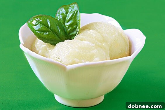 Refreshing homemade Basil Lime Sorbet in a bowl, garnished with fresh basil leaves and lime slices – a perfect summer dessert.