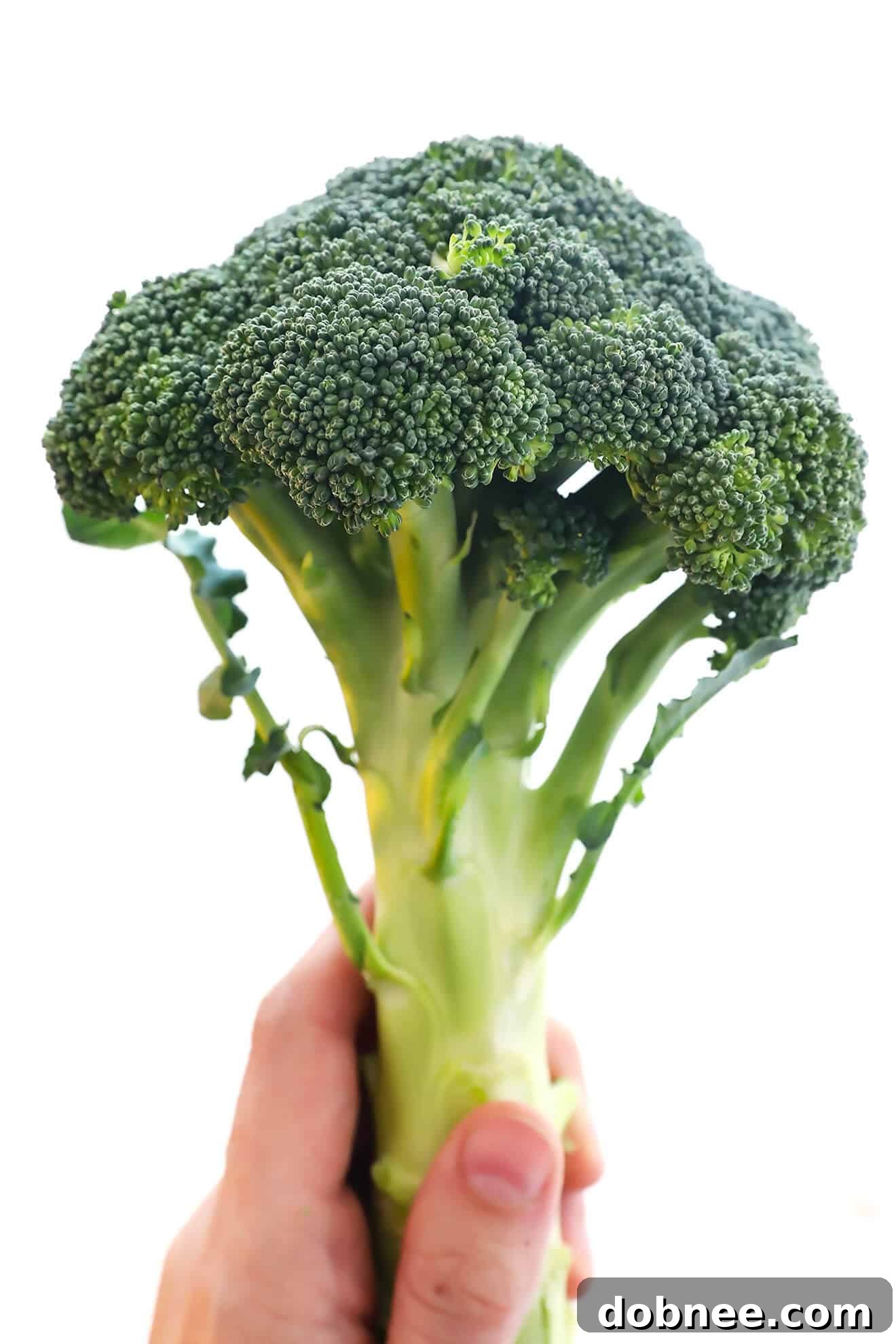 How To Cut Broccoli -- a quick and easy video tutorial! | gimmesomeoven.com