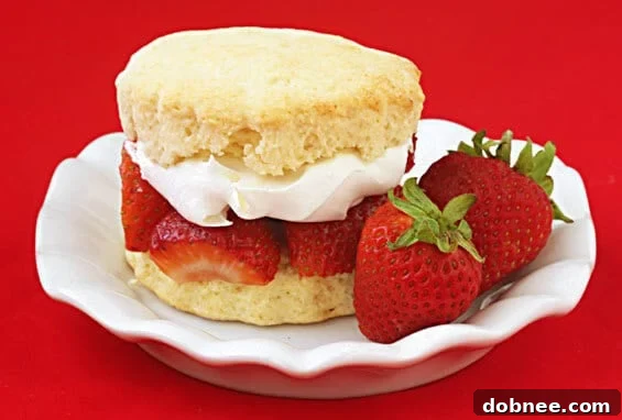 Delicious Strawberry Shortcake slices topped with fresh strawberries and whipped cream.