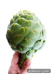 Steamed artichoke ready to be served with a side of lemon butter sauce for dipping.