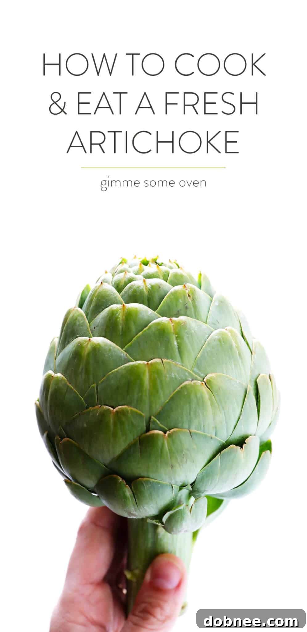 A perfectly cooked artichoke, ready to be enjoyed on a plate with a delicious dipping sauce on the side.
