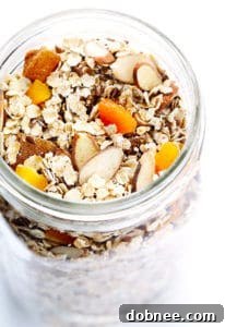 Homemade Instant Oatmeal Mix with berries and chia seeds