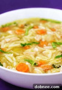 Close-up of Basil, Chicken & Orzo Soup in a bowl