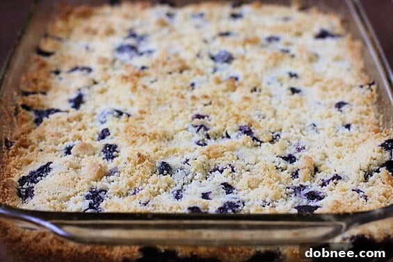 Stacked Blueberry Crumb Bars ready to be served.