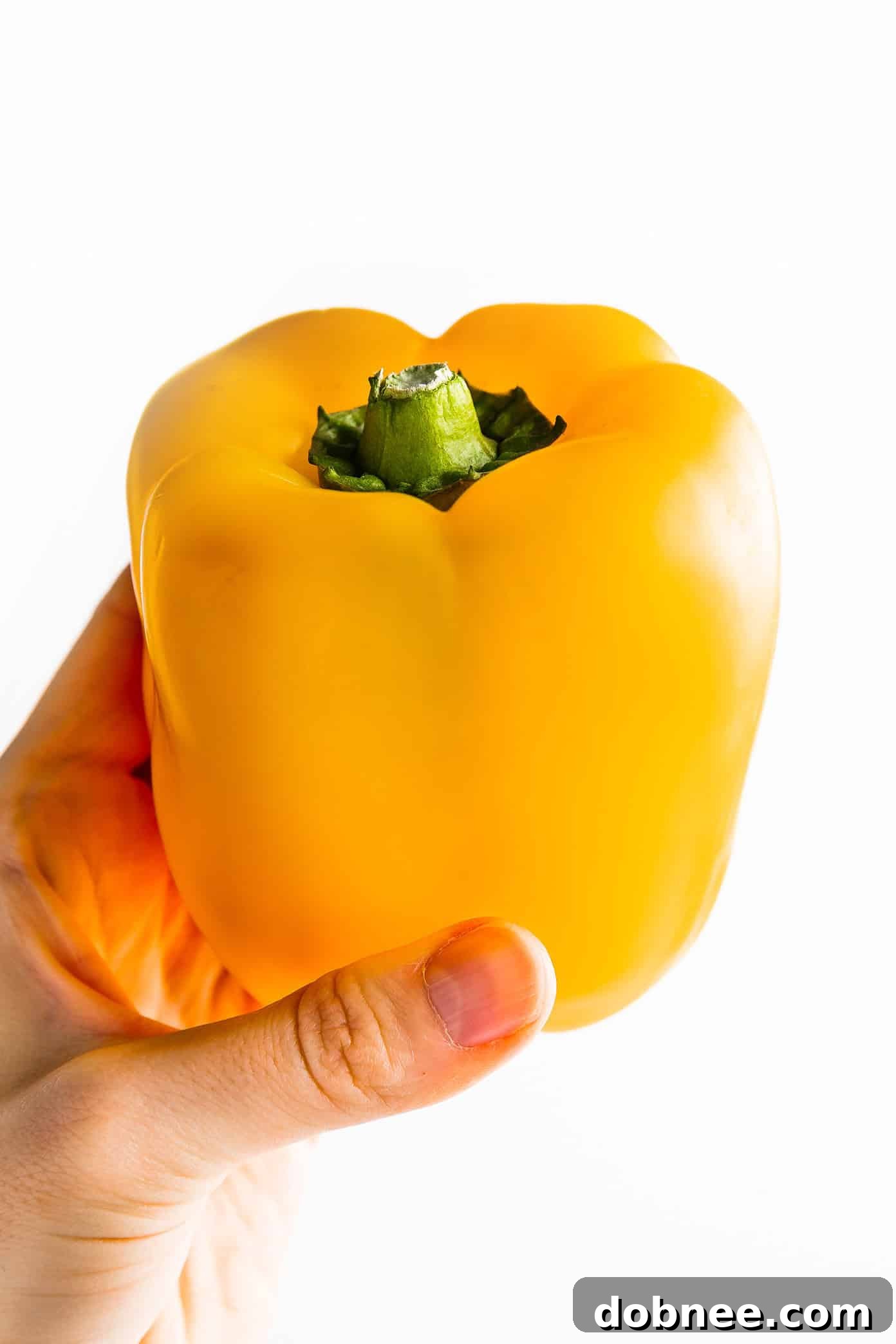 A selection of fresh, vibrant bell peppers in red, yellow, and orange.