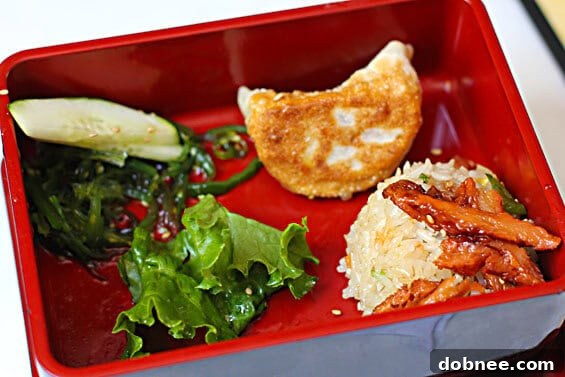 Soy and Sake Bento Box