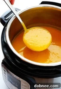 Pressure Cooker Butternut Squash Soup Recipe