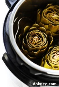Instant Pot Steamed Artichokes