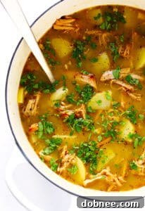 Carnitas Soup with a spoon dipped in, garnished with arugula and avocado slices