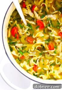 Herb-Loaded Chicken Noodle Soup