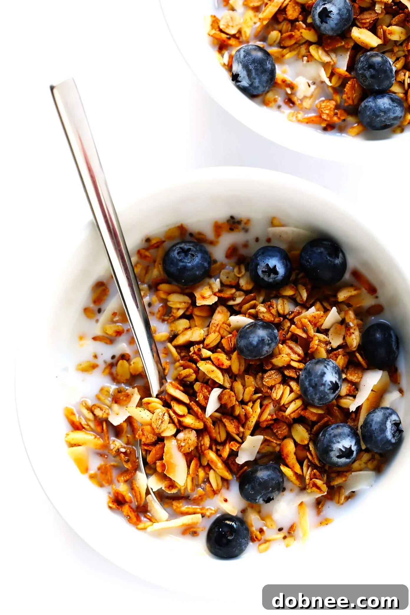 Healthy Granola Recipe with Almond Milk and Blueberries