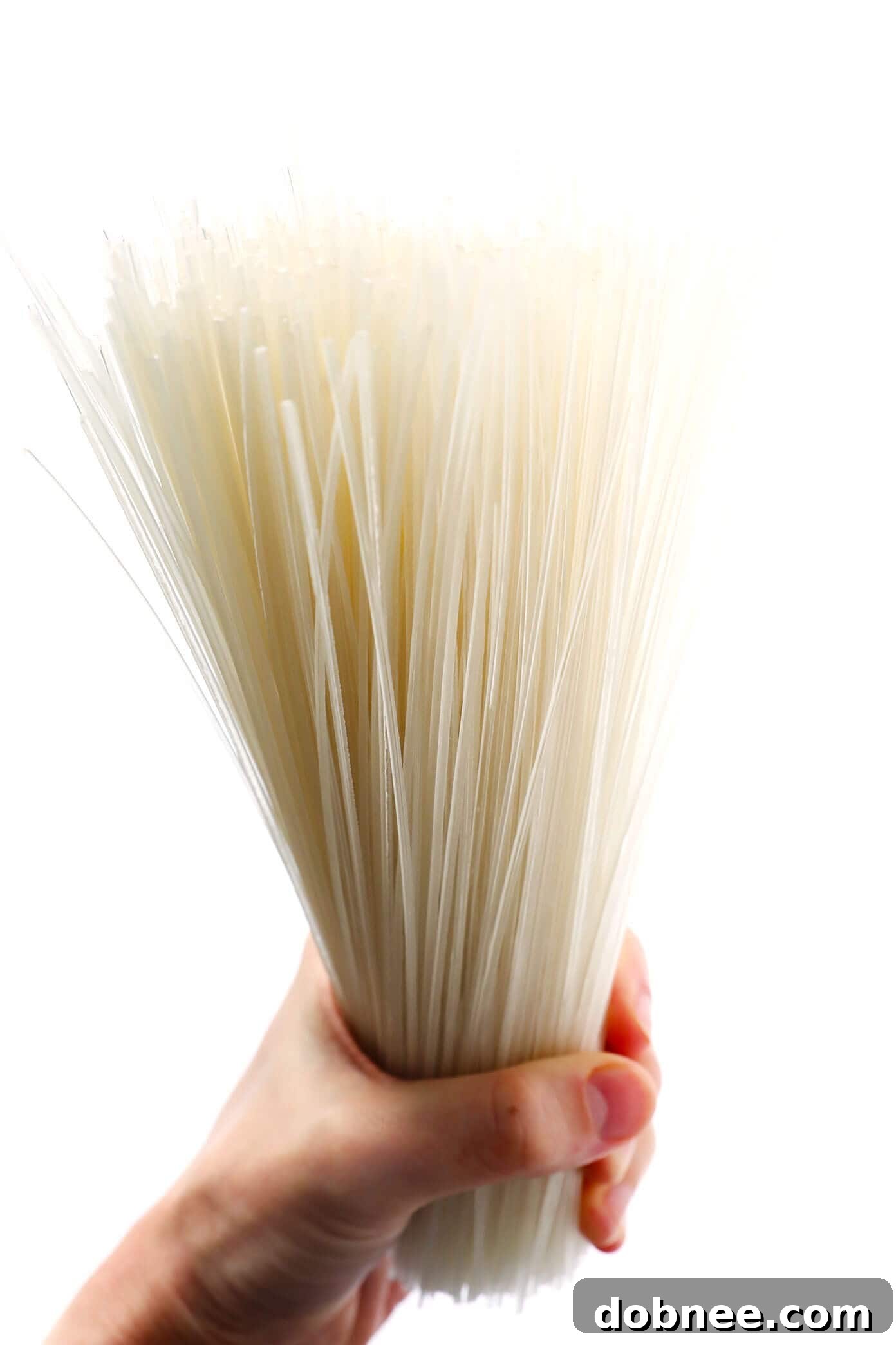 Close-up of translucent Korean sweet potato glass noodles, or dangmyeon, showing their unique texture and elasticity, ready for cooking.