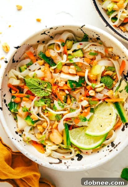 Large image of the Vietnamese Spring Roll Salad
