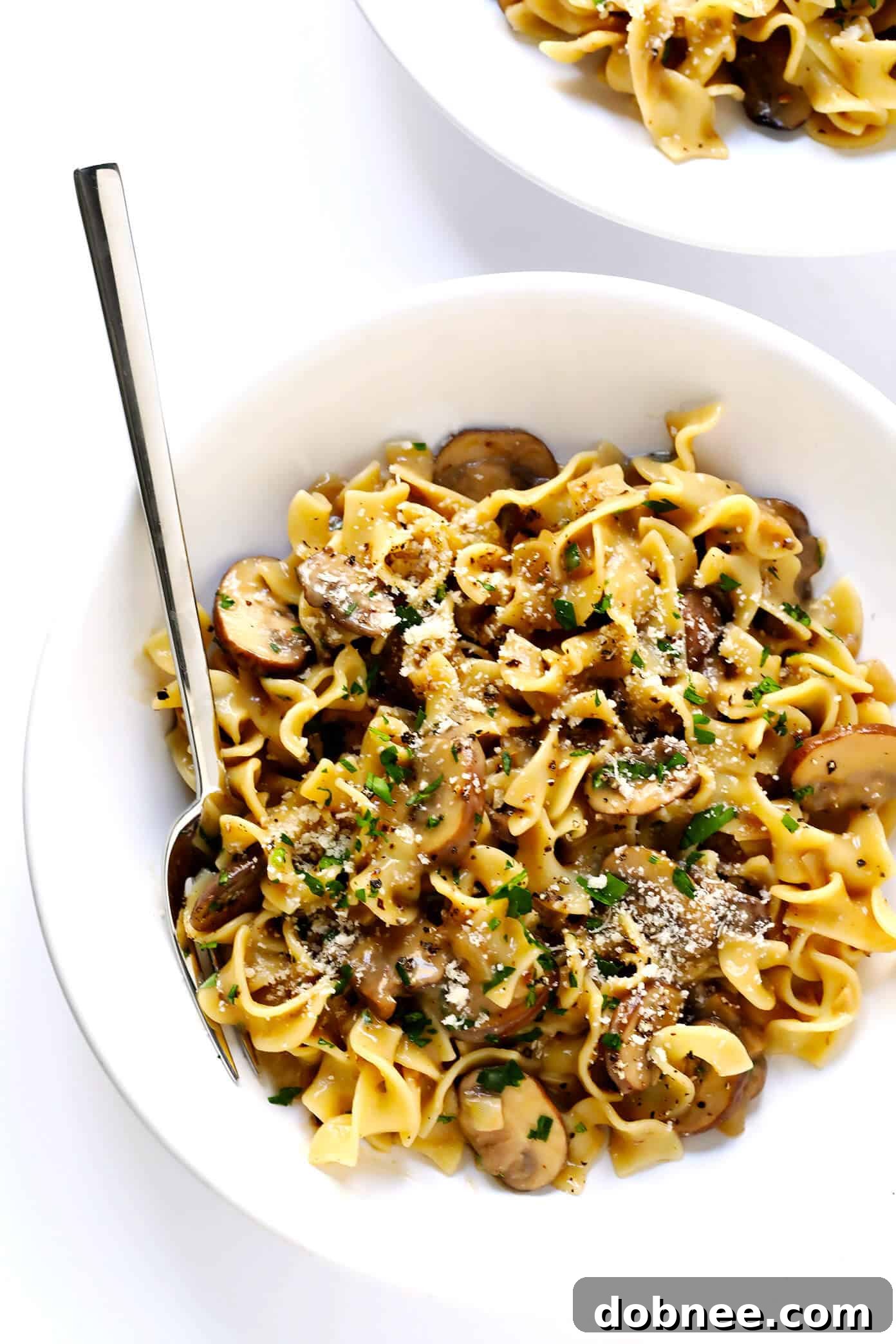 Vegetarian Mushroom Stroganoff with Egg Noodles, ready to be served, highlighting its rich sauce and inviting texture.