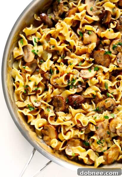 Vegetarian Mushroom Stroganoff Recipe