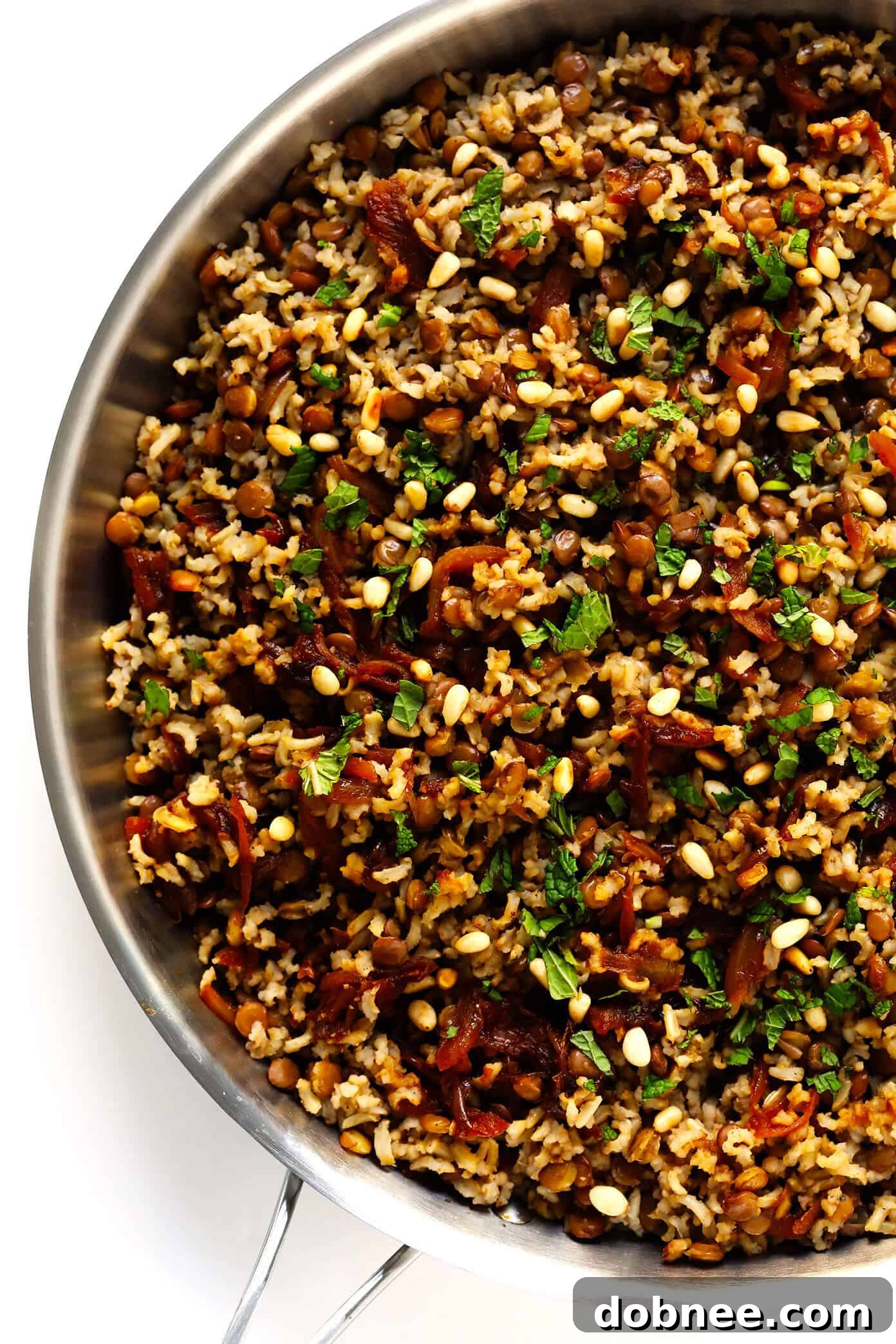 Mujadara with crispy onions on top, served in a bowl.