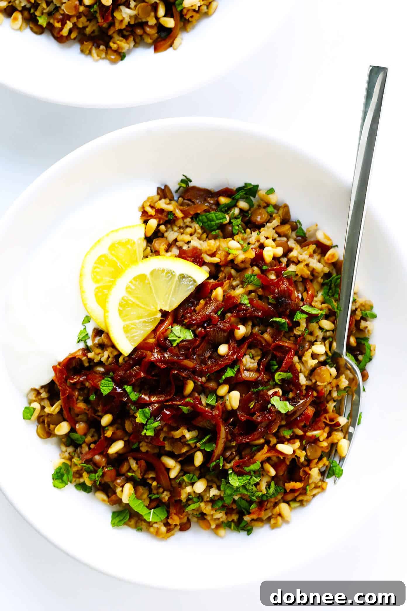 A close-up of Mujadara in a bowl with a spoon, showing the rice, lentils, and onions.