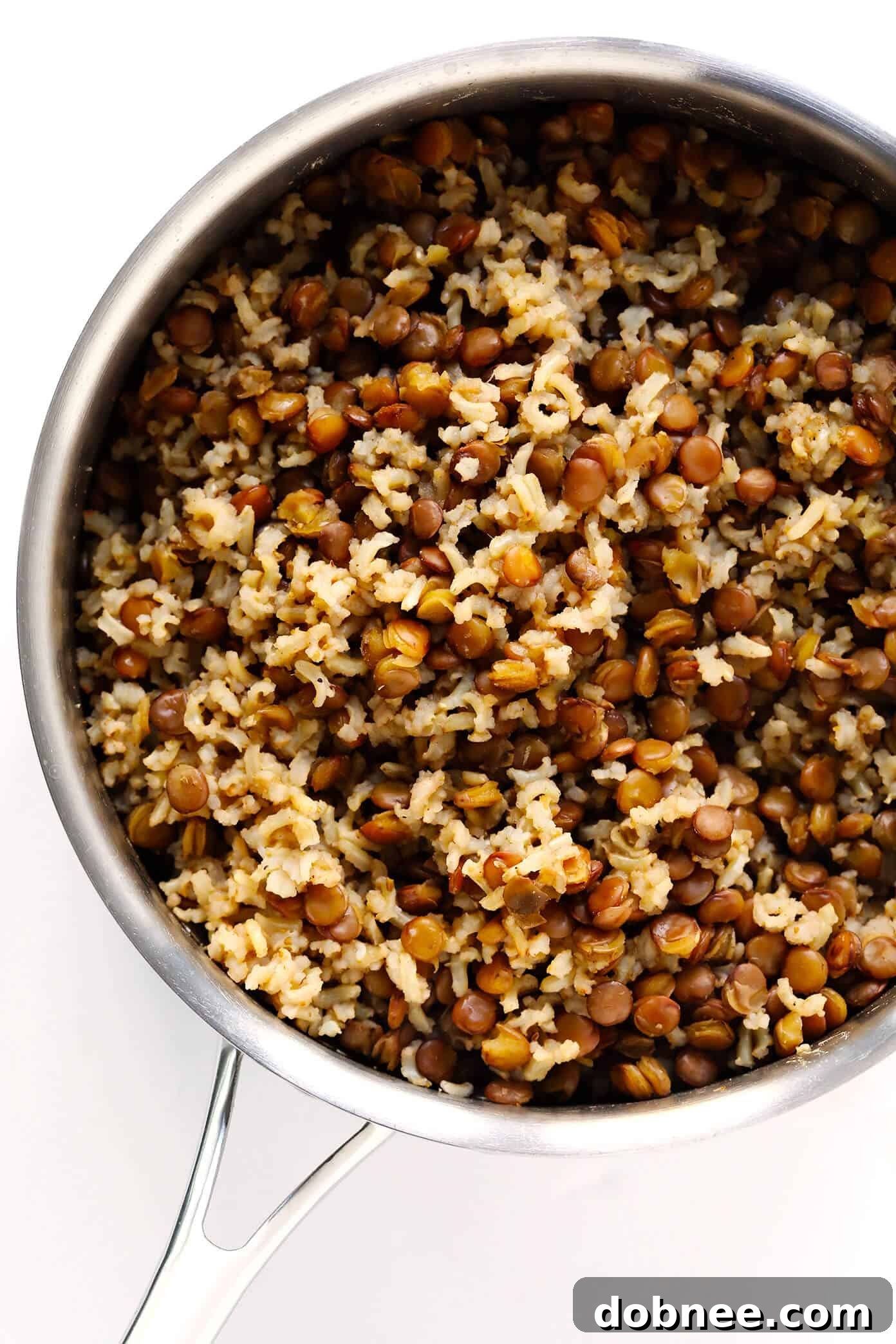 Ingredients for Mujadara: lentils, brown rice, spices, onions, mint, and lemon.