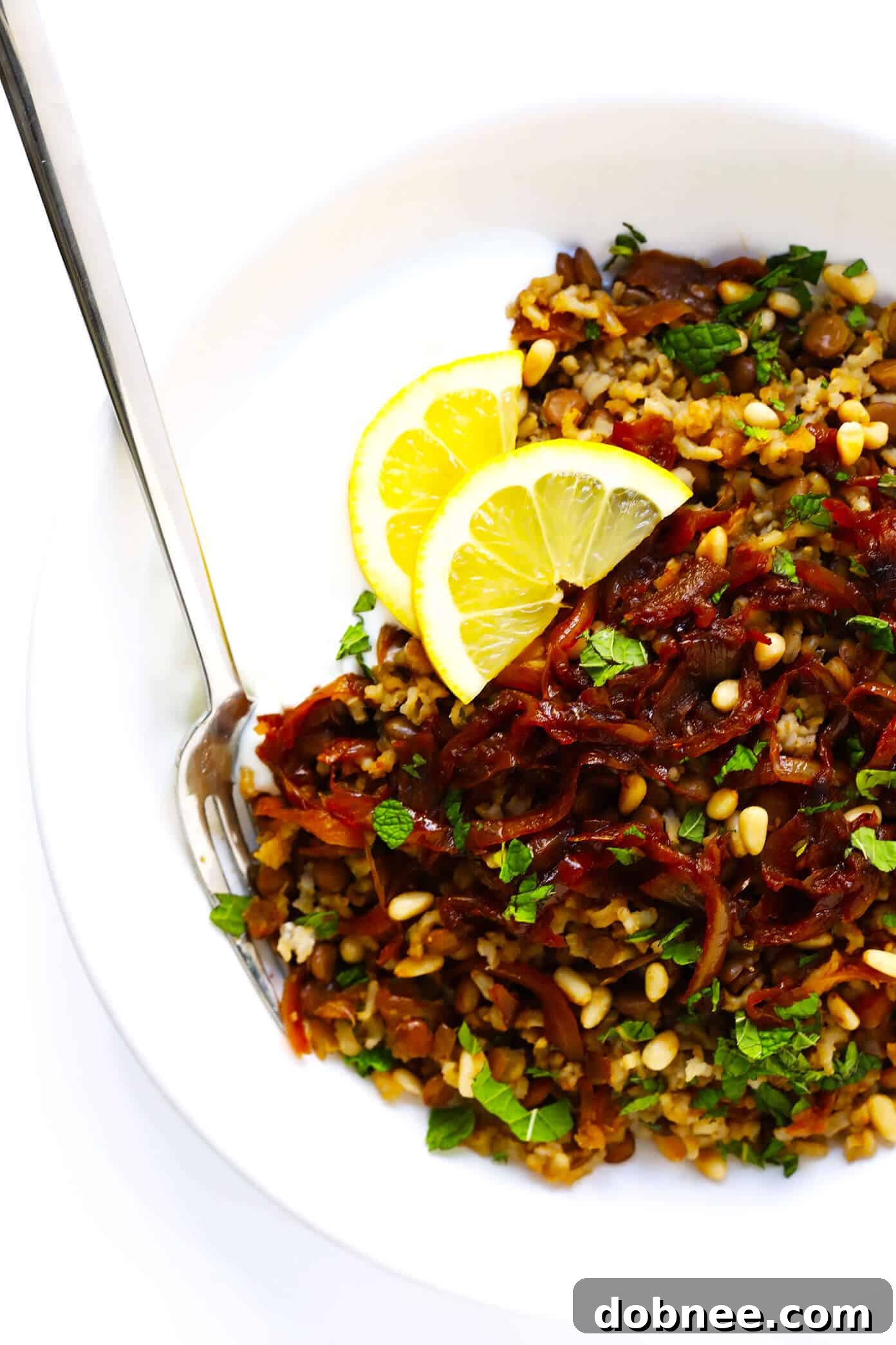 A bowl of Mujadara topped with crispy onions and a dollop of Greek yogurt.