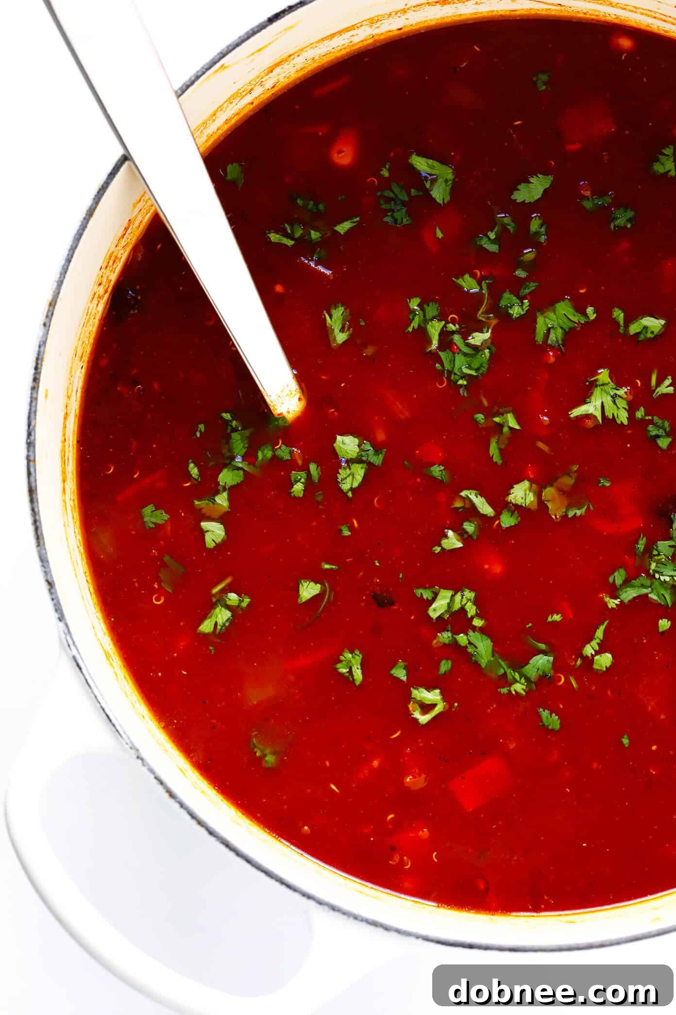 How To Make Vegetarian Tortilla Soup - Step-by-step guide for a comforting meal
