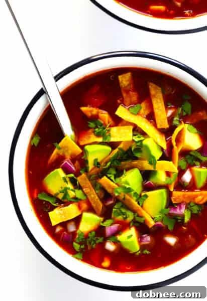 Quinoa Tortilla Soup with avocado and cilantro toppings