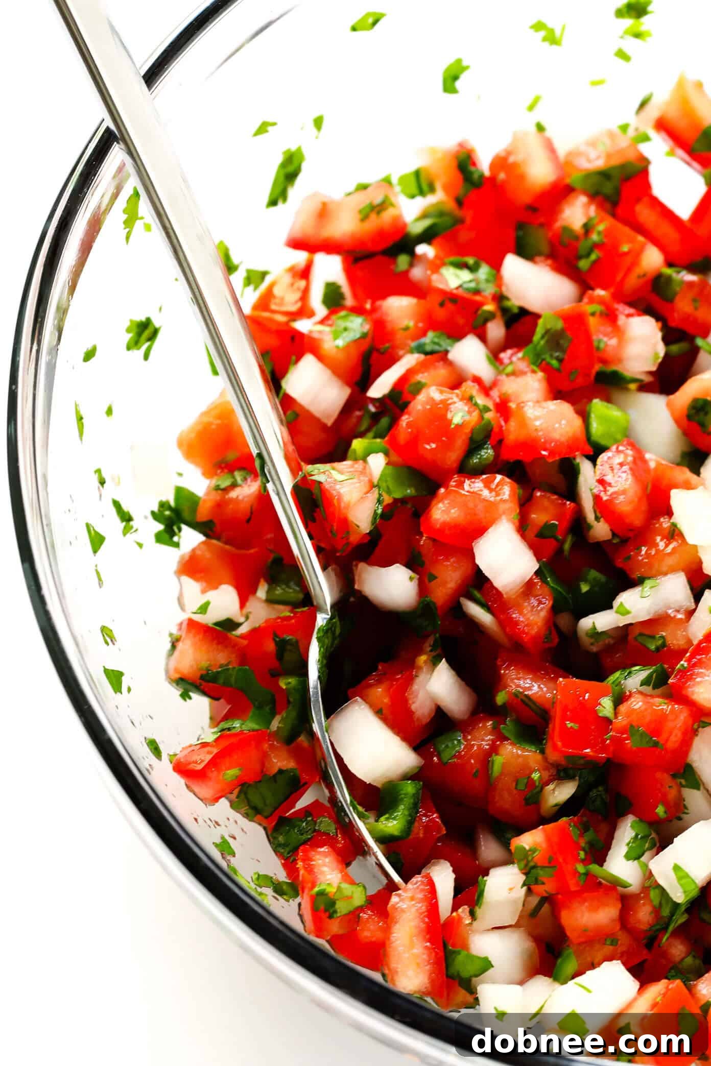 Easy Pico de Gallo Recipe