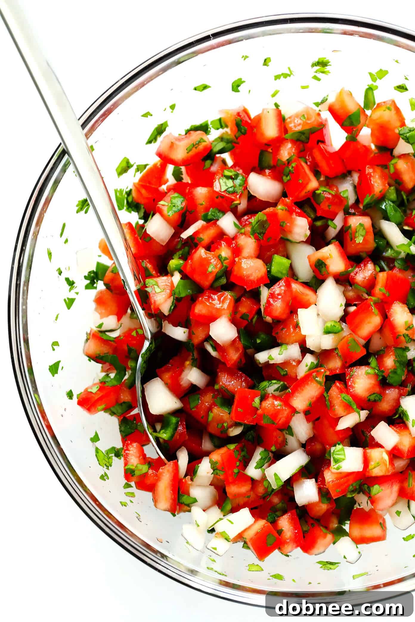 Pico De Gallo Salsa Recipe