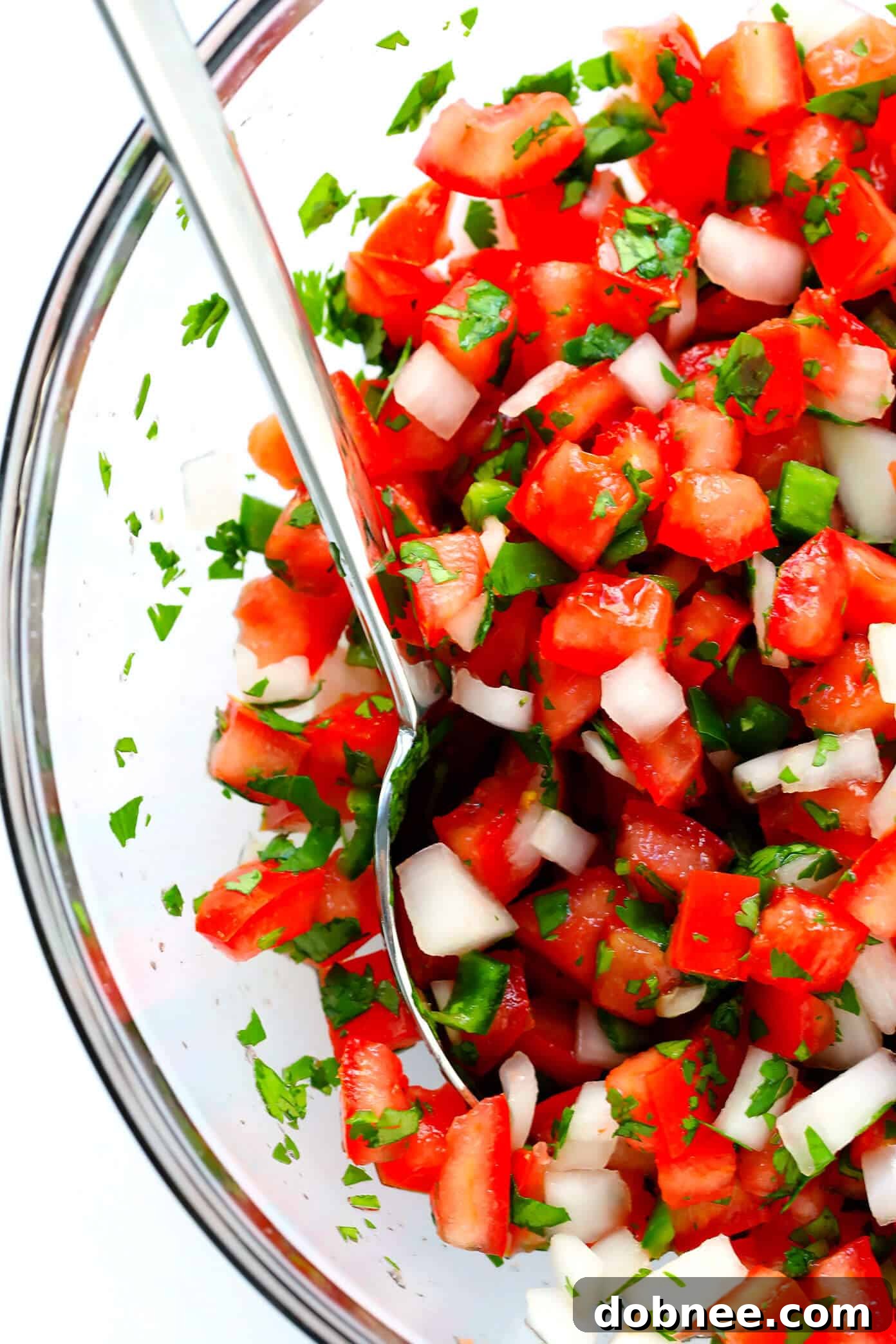 Mexican Pico De Gallo Recipe