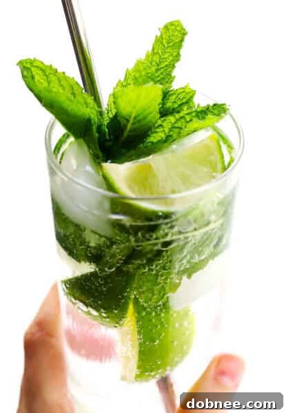 Classic Mojito Cocktail