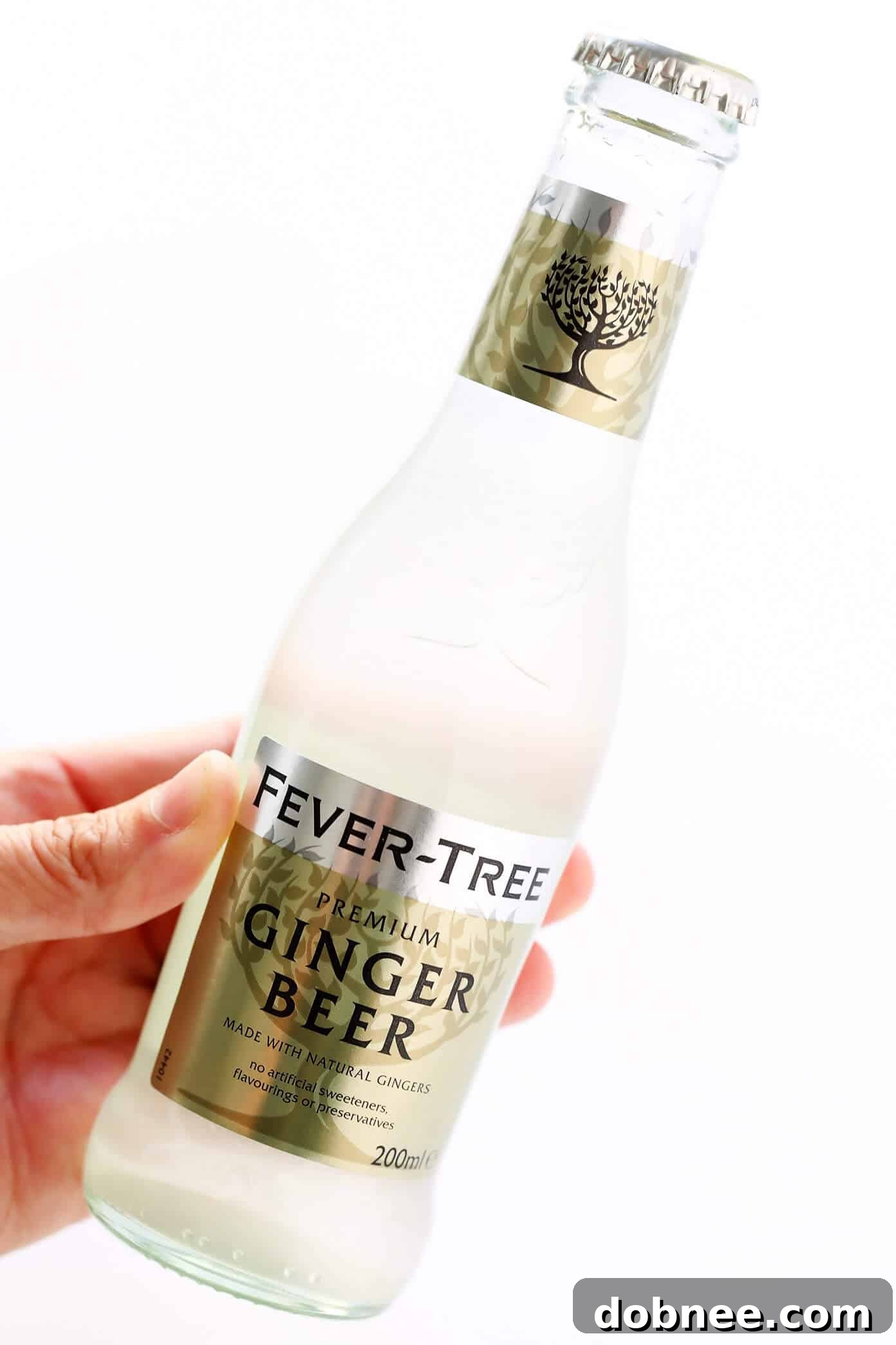 Selection of premium ginger beer bottles and copper mugs, essential for the best Moscow Mule recipe.