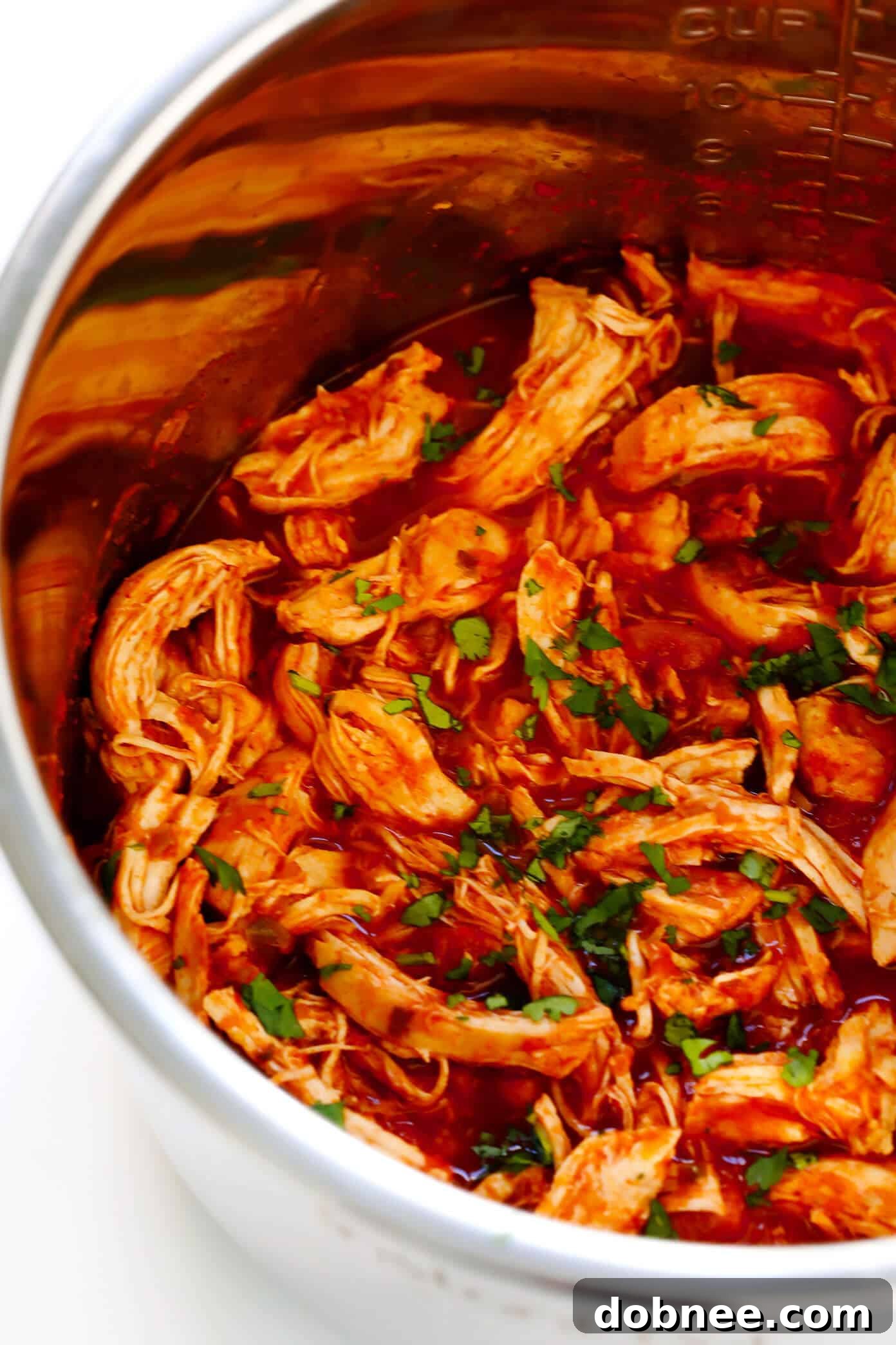 Easy 3-Ingredient Mexican Shredded Chicken