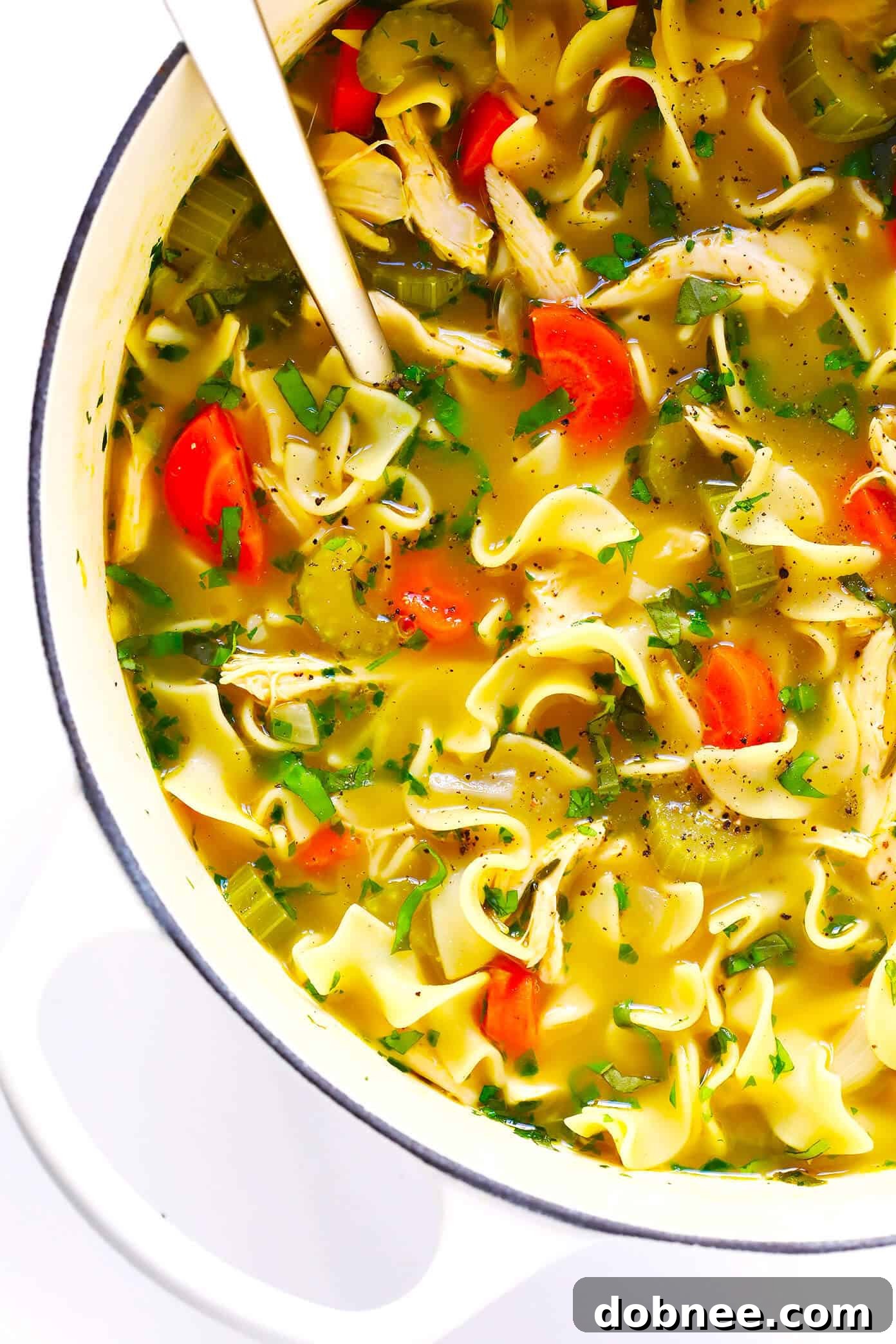 Comforting Herb-Loaded Chicken Noodle Soup