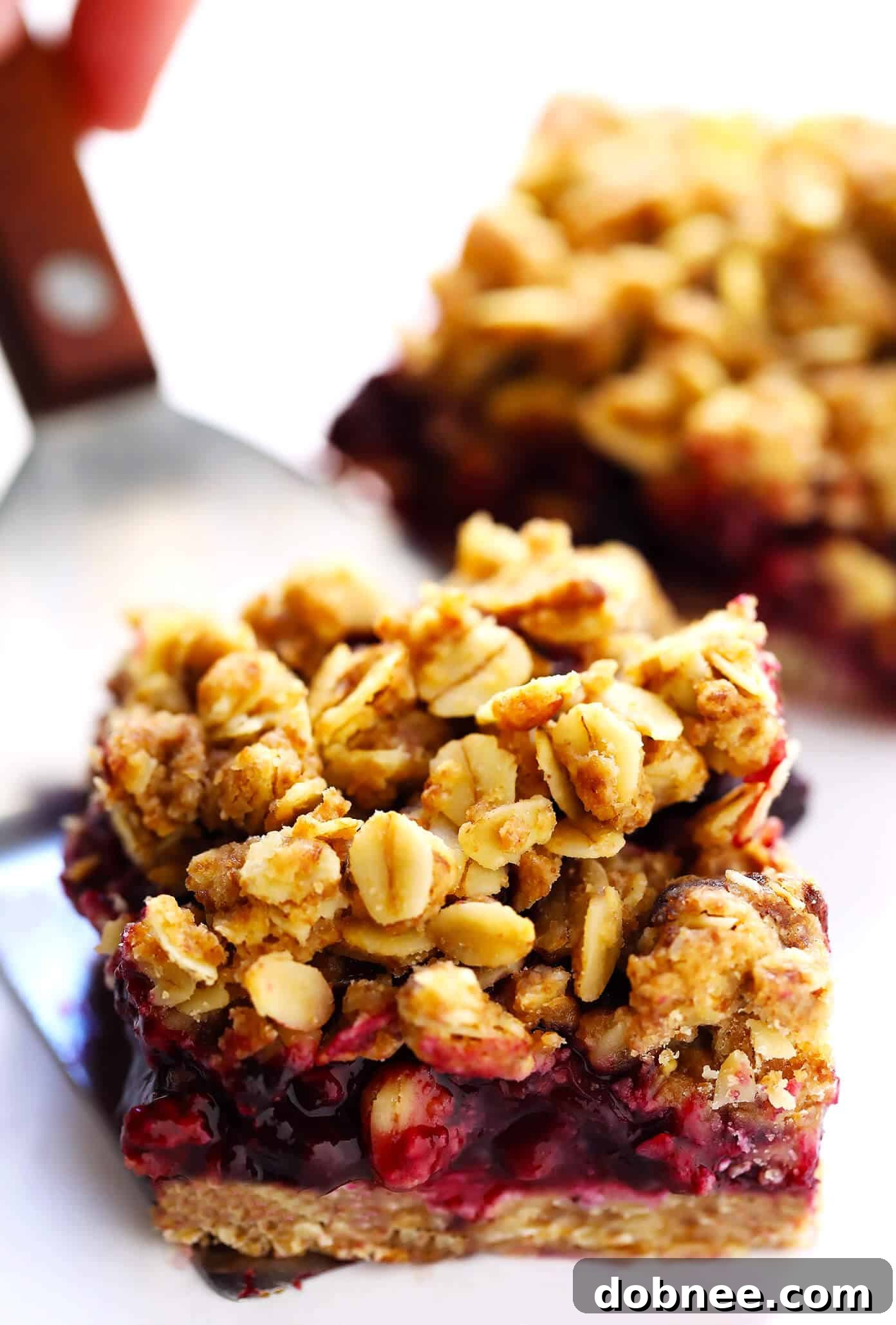 Blueberry Crumble Bars Recipe with Oatmeal Crumble