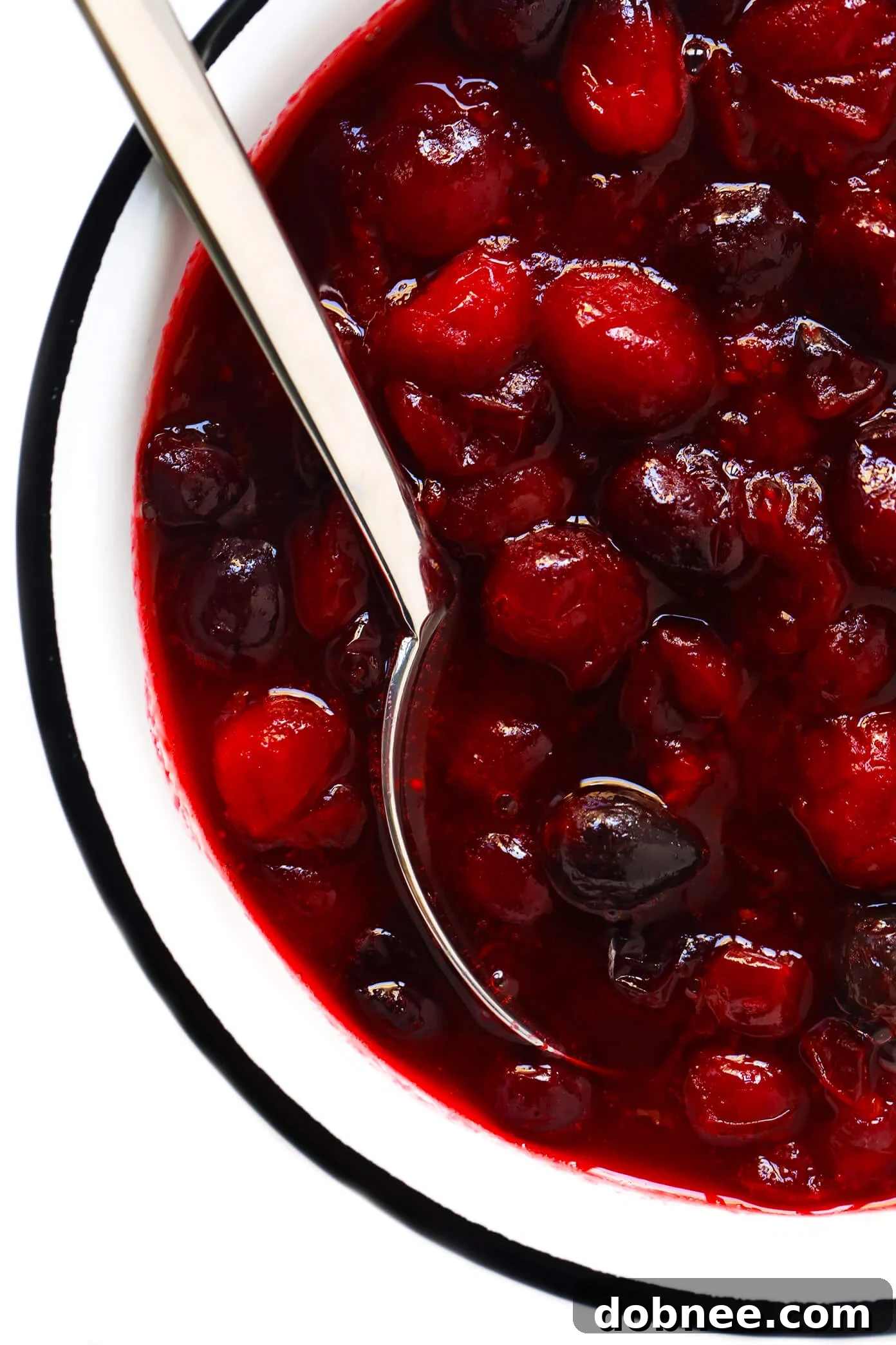 Bowl of Vegan Maple Cranberry Sauce