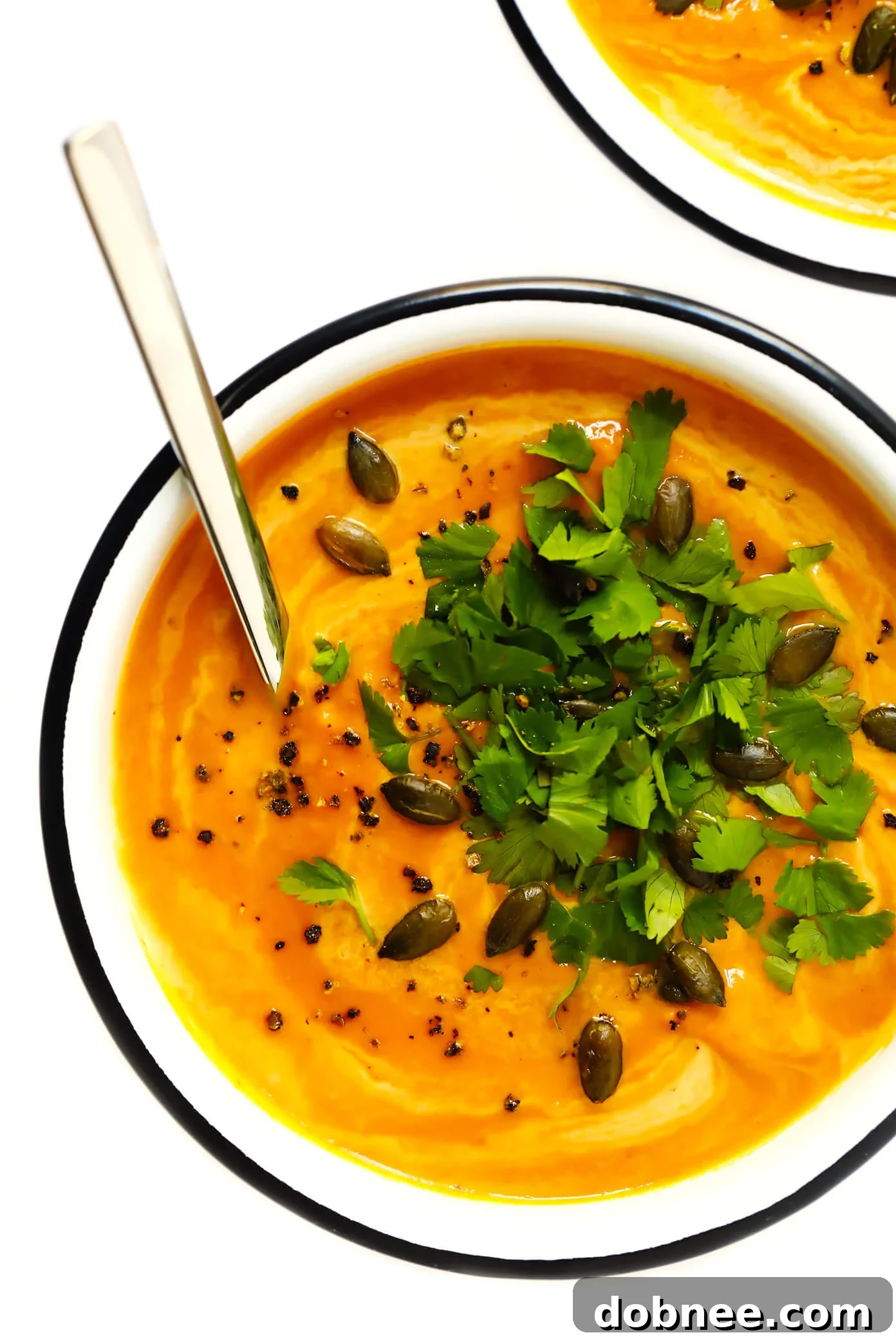 Thai Curried Pumpkin Soup Recipe