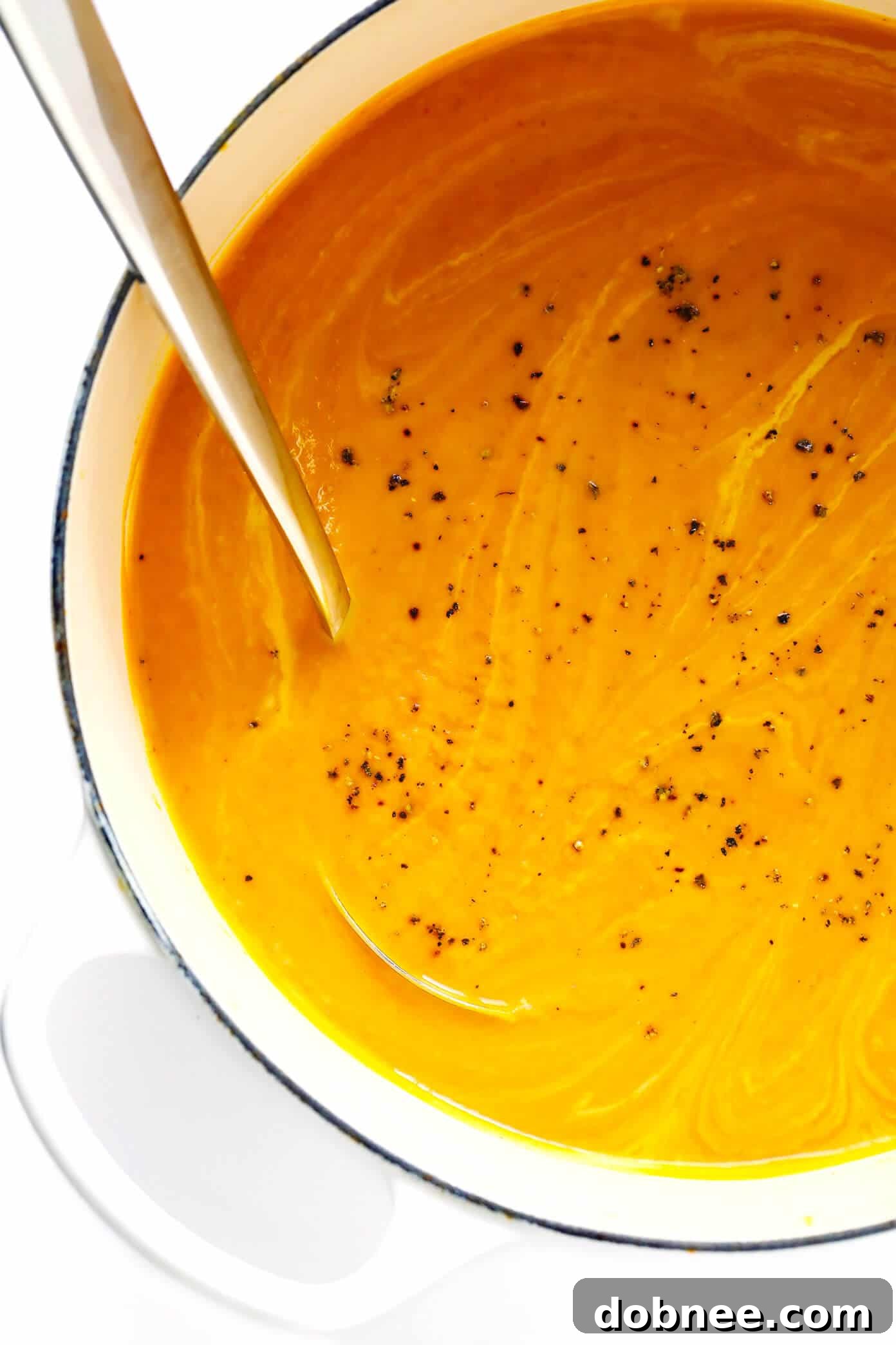 Thai Curried Pumpkin Soup Recipe