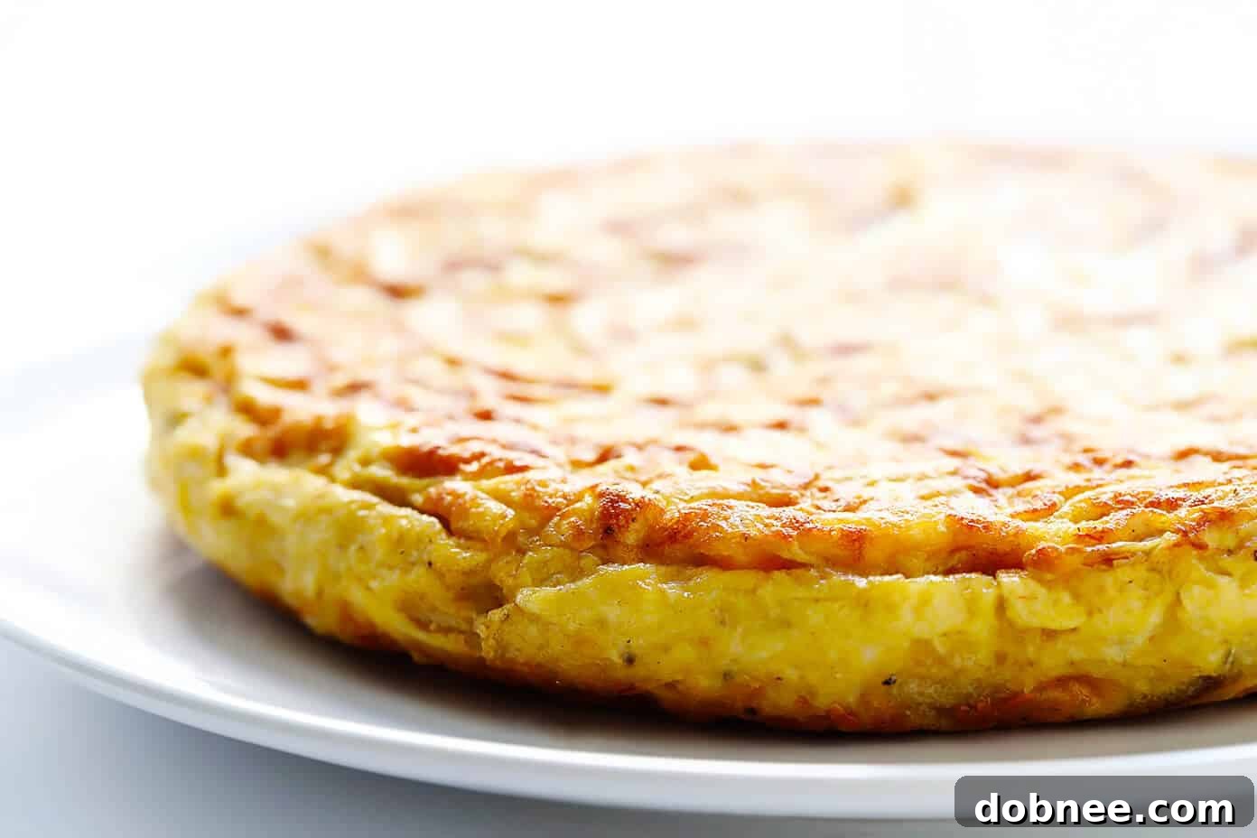 How to store a Spanish Omelette (Tortilla Española) for future enjoyment