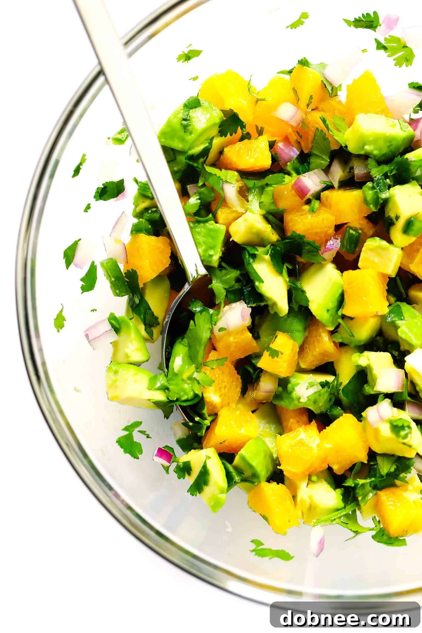 Fresh Orange Avocado Salsa