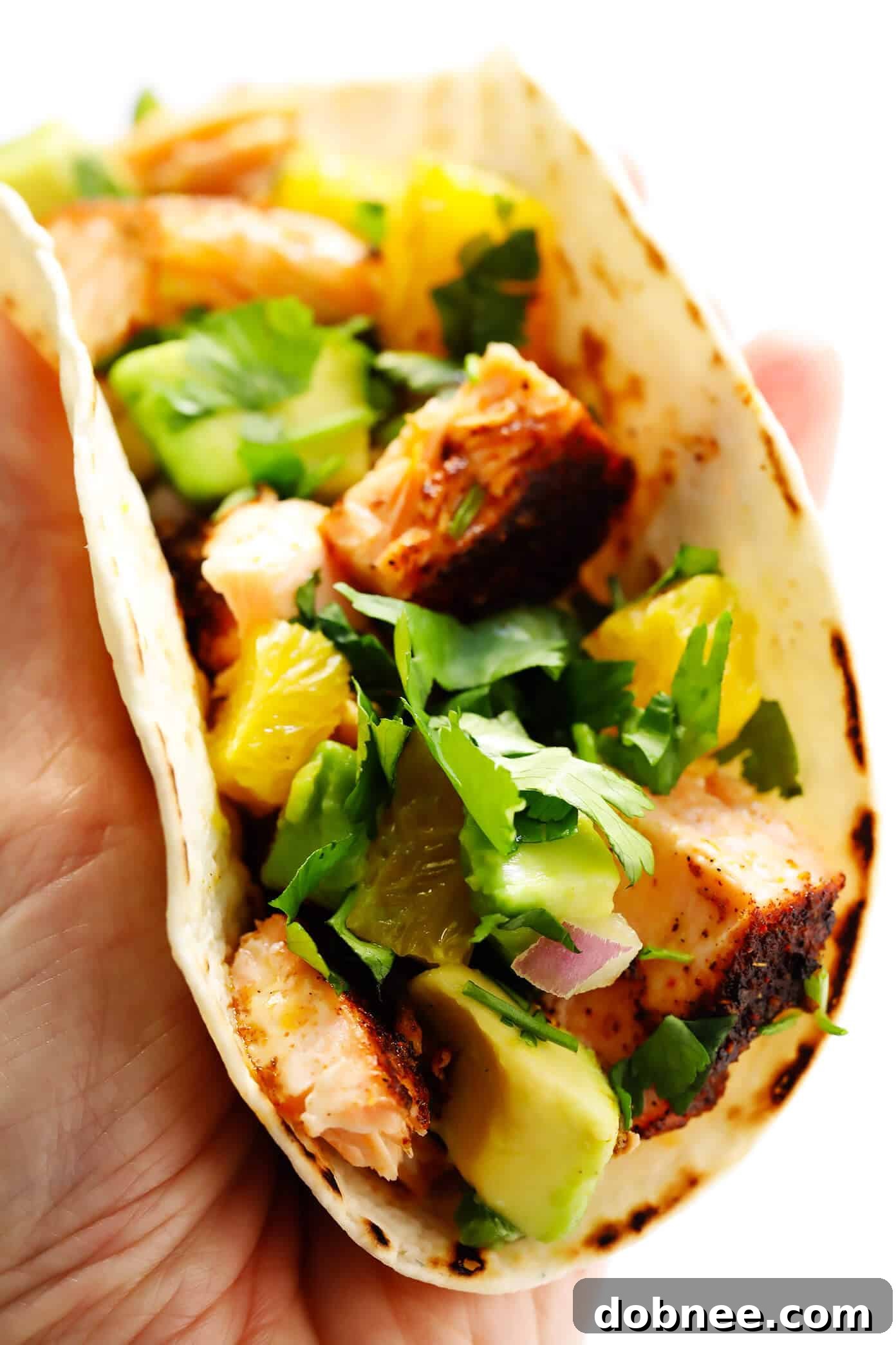 The Best Salmon Tacos