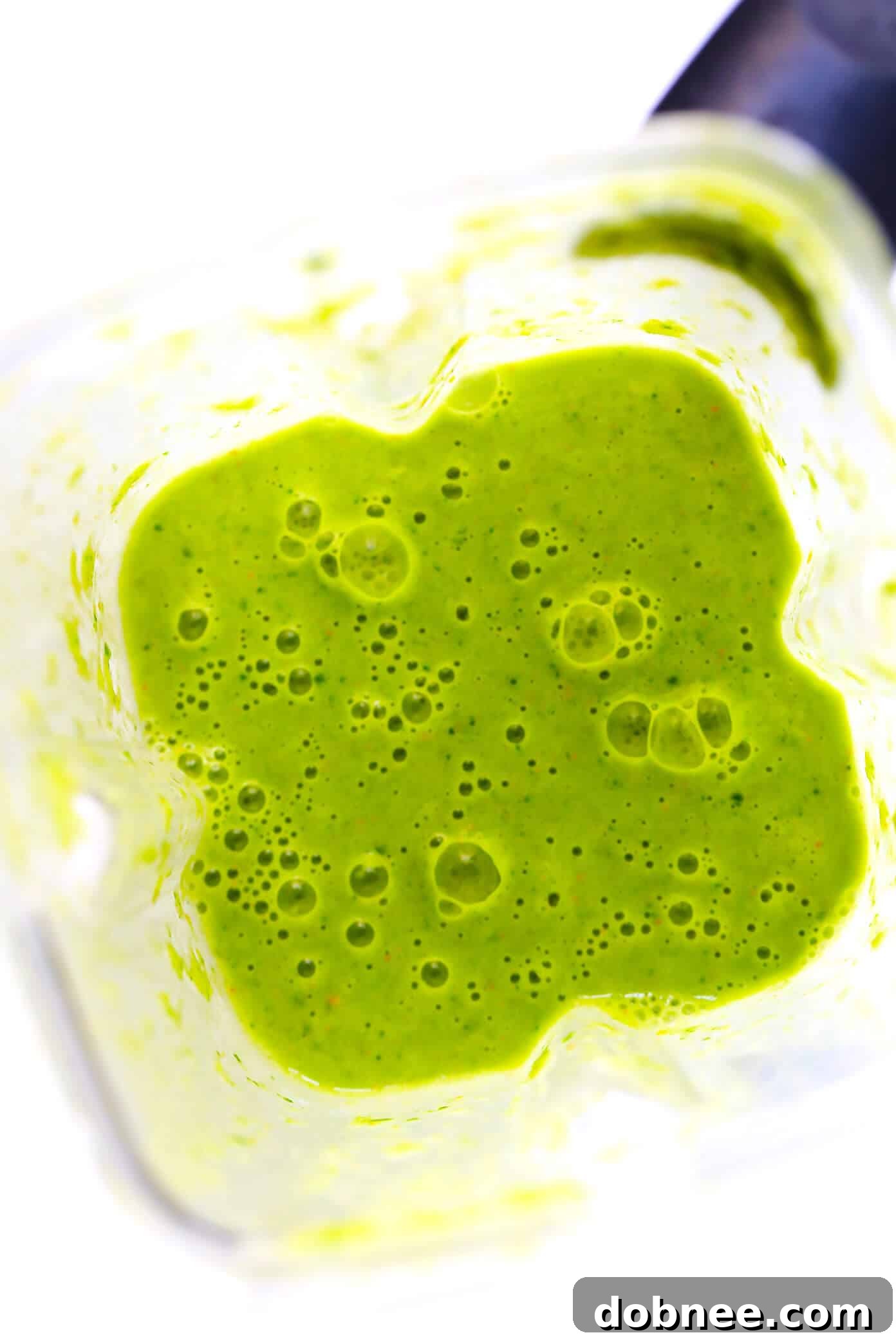 How To Make A Green Julius Smoothie Recipe - Blender with fresh ingredients for a healthy smoothie.