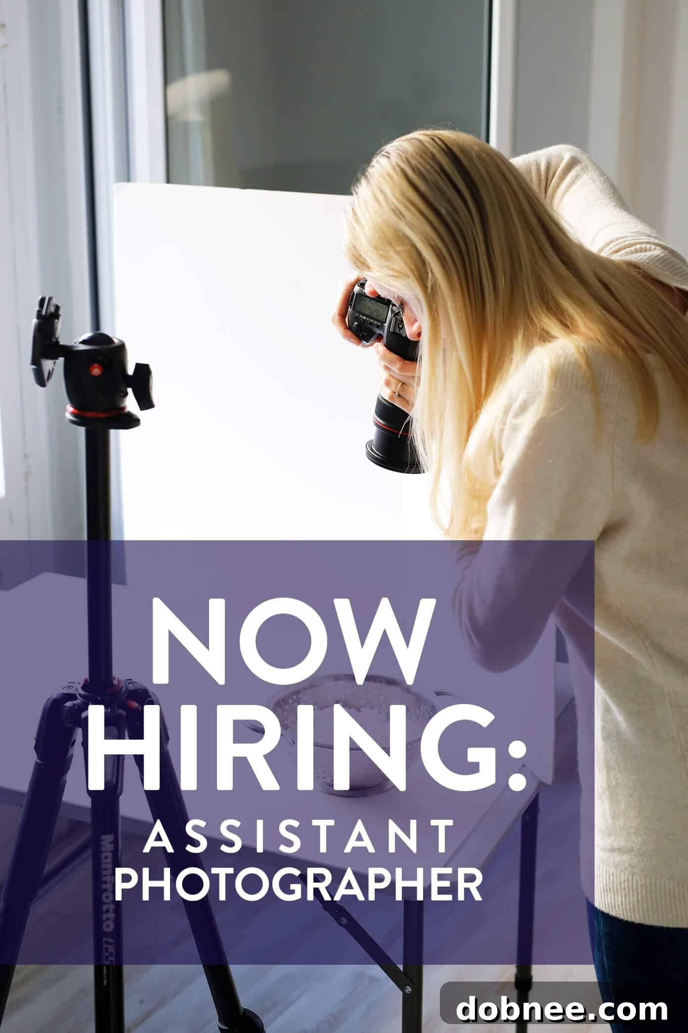 Now Hiring: Assistant Food Photographer at Gimme Some Oven - Capture Delicious Recipes